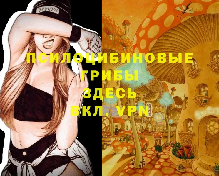 Псилоцибиновые грибы Magic Shrooms  omg как зайти  Орёл 